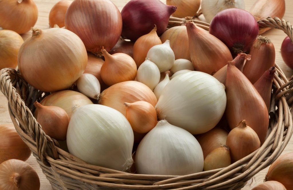 Here is the unstoppable tip to keep onions longer   

