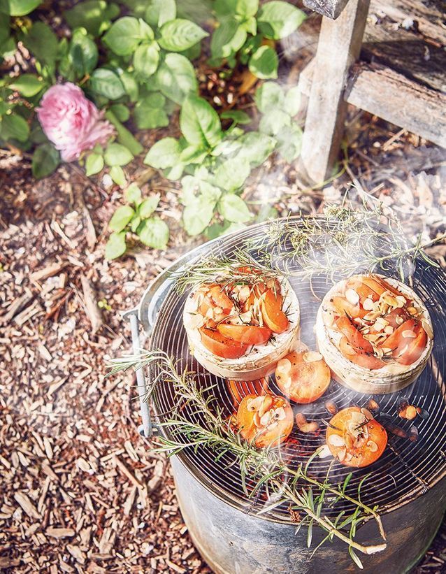 Camemberts stuffed with apricots and almonds