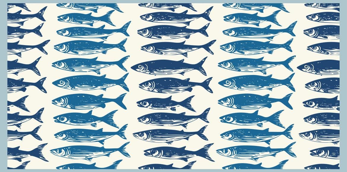 Everything you need to know about sardines