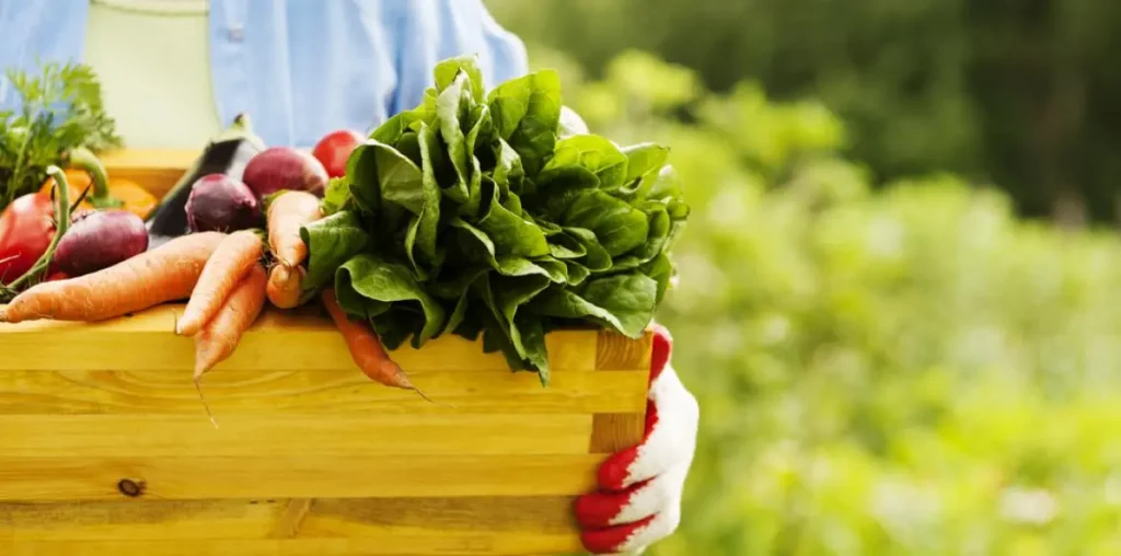 March fruits and vegetables


