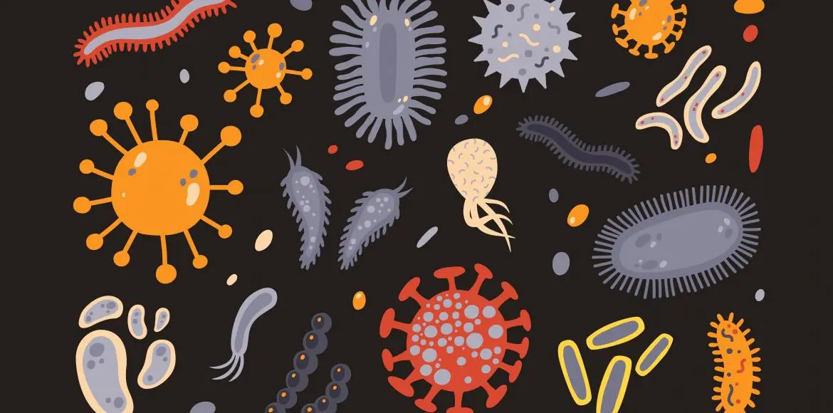 How to properly nourish your microbiota for optimal immunity