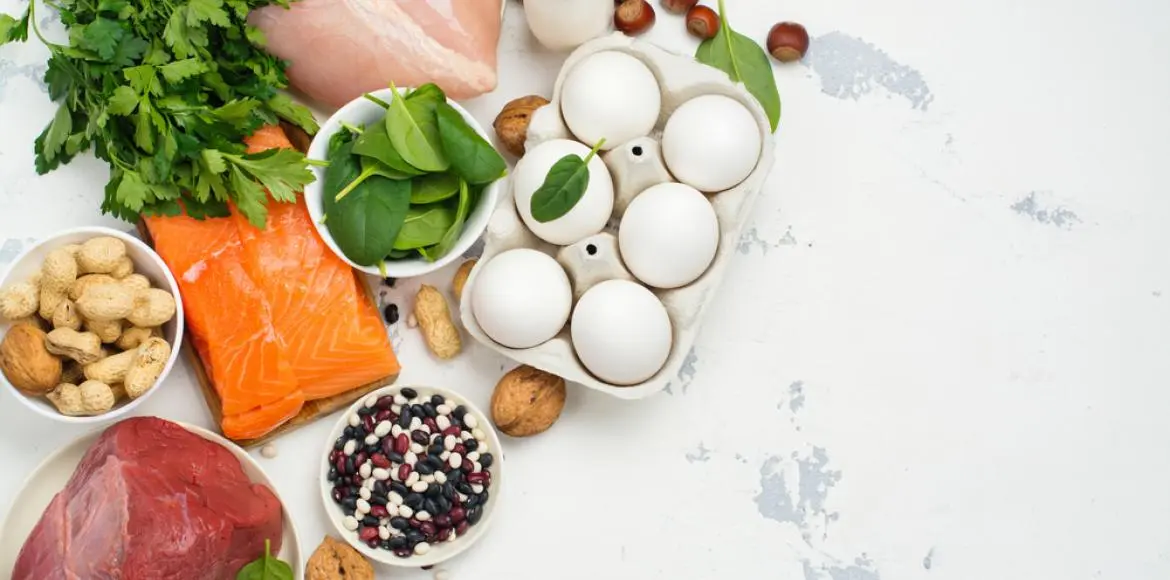 Why protein diets make you lose weight