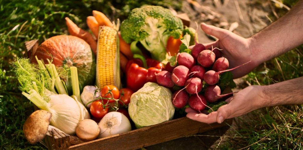 April fruits and vegetables


