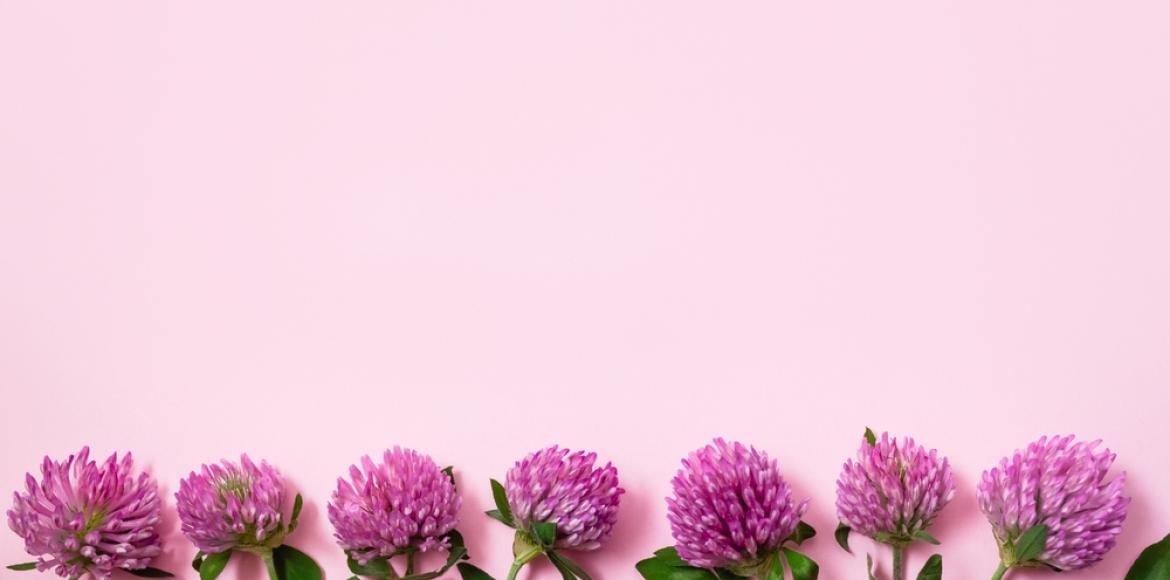 Menopause: 4 Effective Herbal Supplements