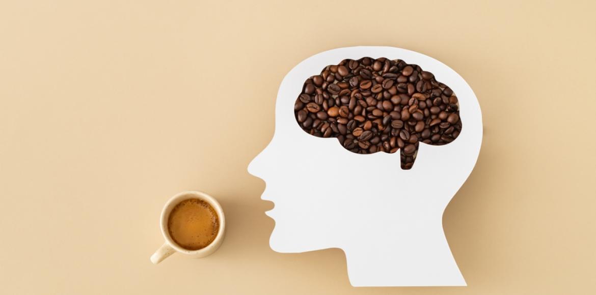 Coffee: What Two Cups a Day Really Does to Your Brain