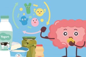 Microbiota and muscles: these intestinal bacteria that influence your strength