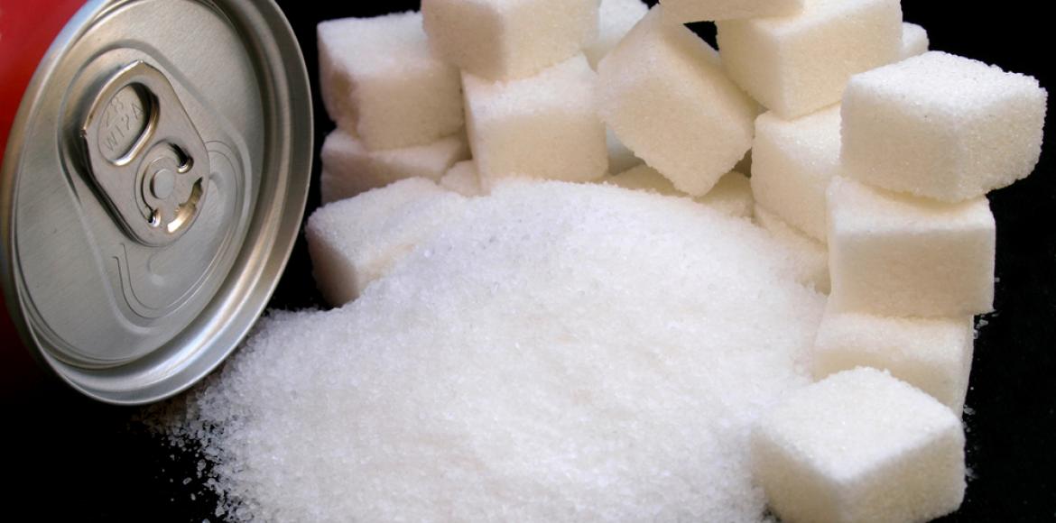 Overweight, diabetes: how sugar disrupts the microbiota