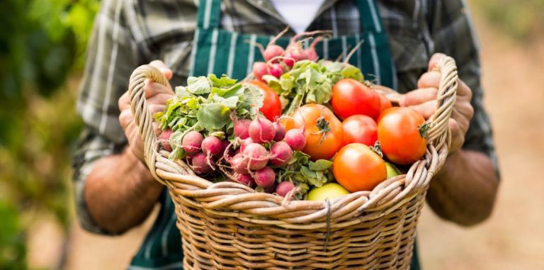 May fruits and vegetables


