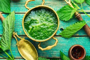 Nettle: from weed to superplant