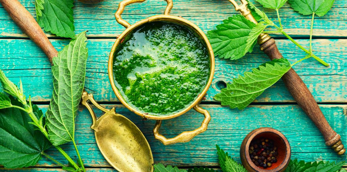 Nettle: from weed to superplant