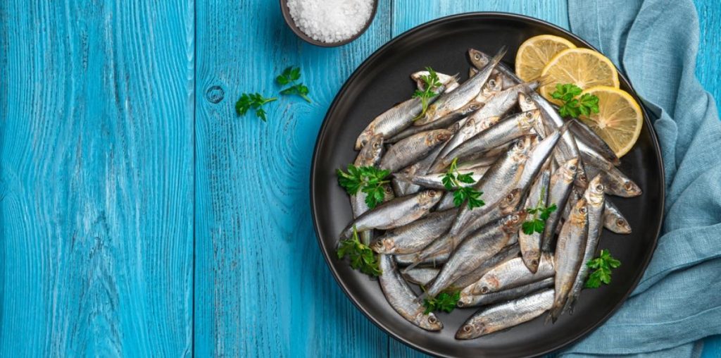 Small fish, keys to longevity?


