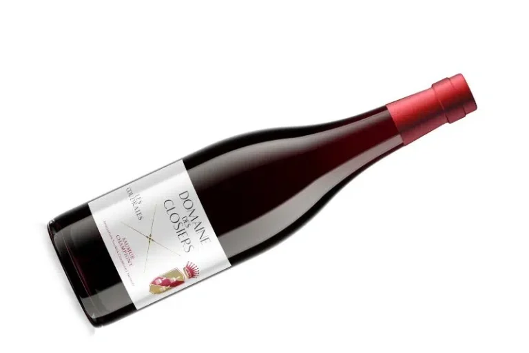 Les Coudraies 2022, delicate and fruity
