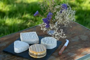 Pont-l’Évêque: history, manufacturing and tasting