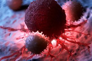 Cancer killer cells in centenarians