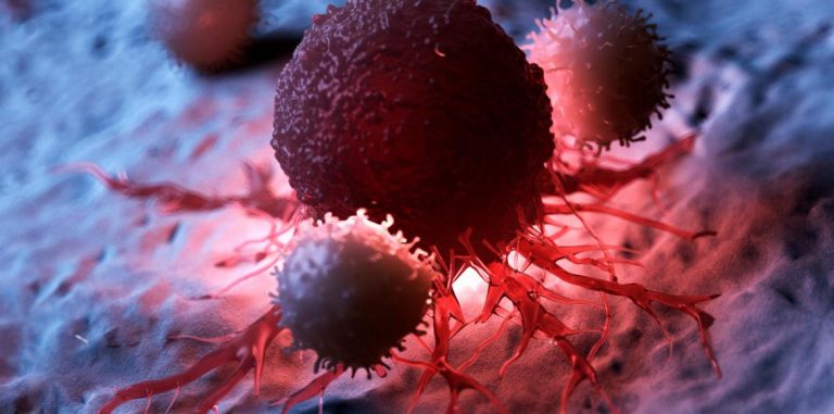 Cancer killer cells in centenarians


