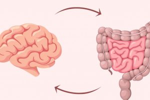 Your gut is manipulating you: 4 disturbing evidence