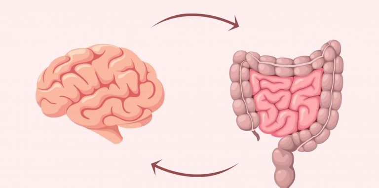 Your gut is manipulating you: 4 disturbing evidence


