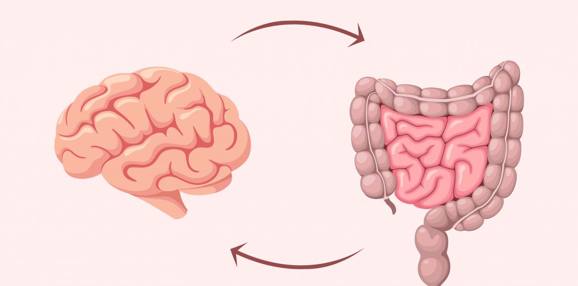 Your gut is manipulating you: 4 disturbing evidence