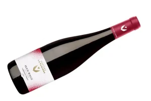 Anjou Rouge Les Saulaies 2023, freshness and deliciousness